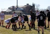 Indianapolis Impalas Rugby Football Club