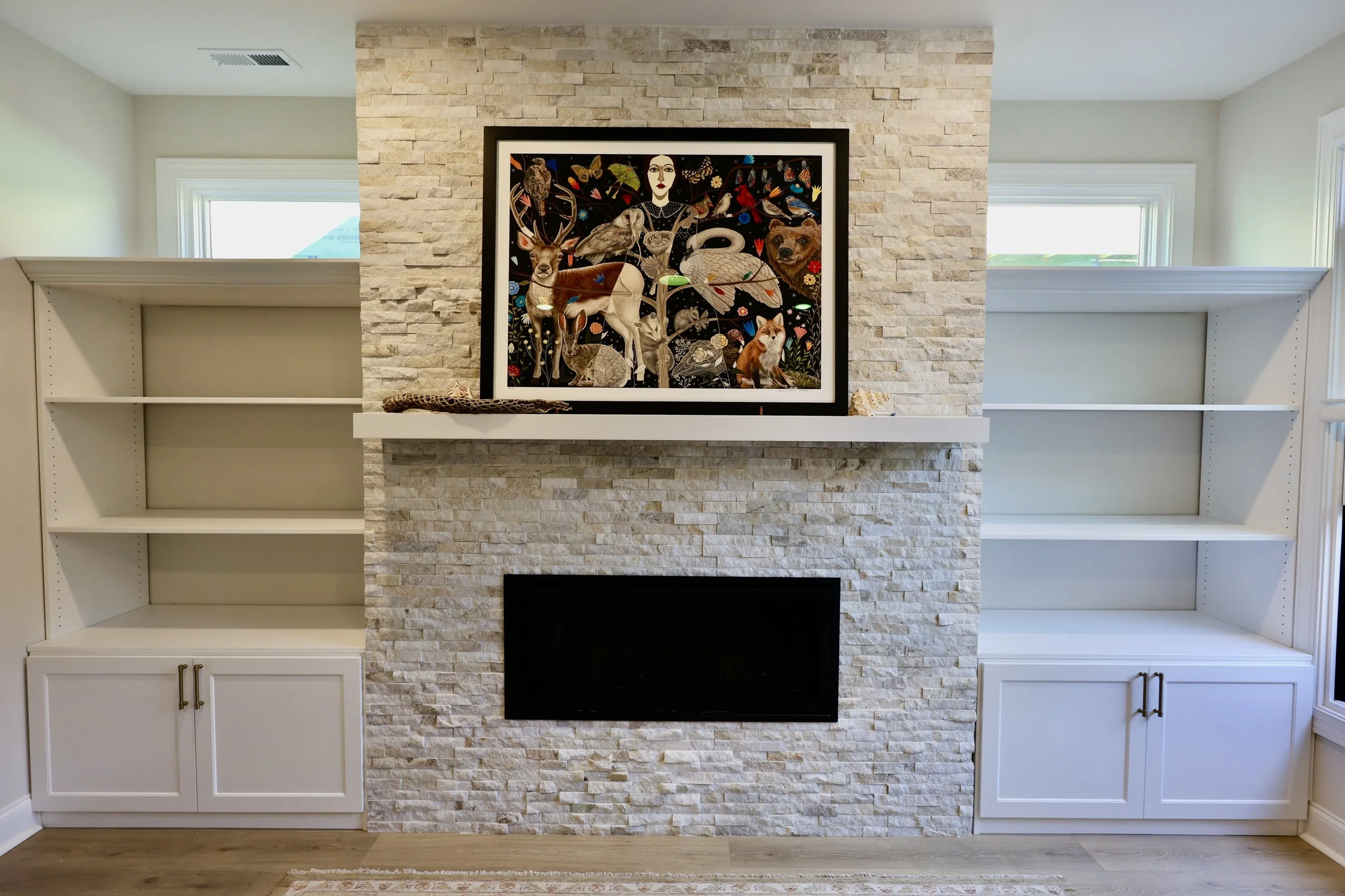 Built-in Cabinets with Adjustable shelving