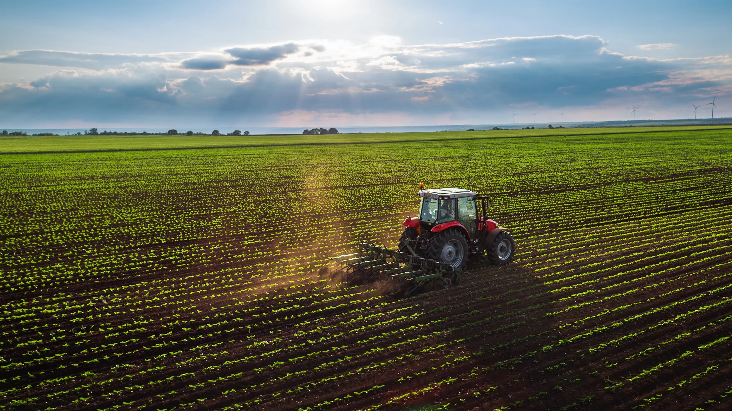 Agriculture &amp; Trade Policy