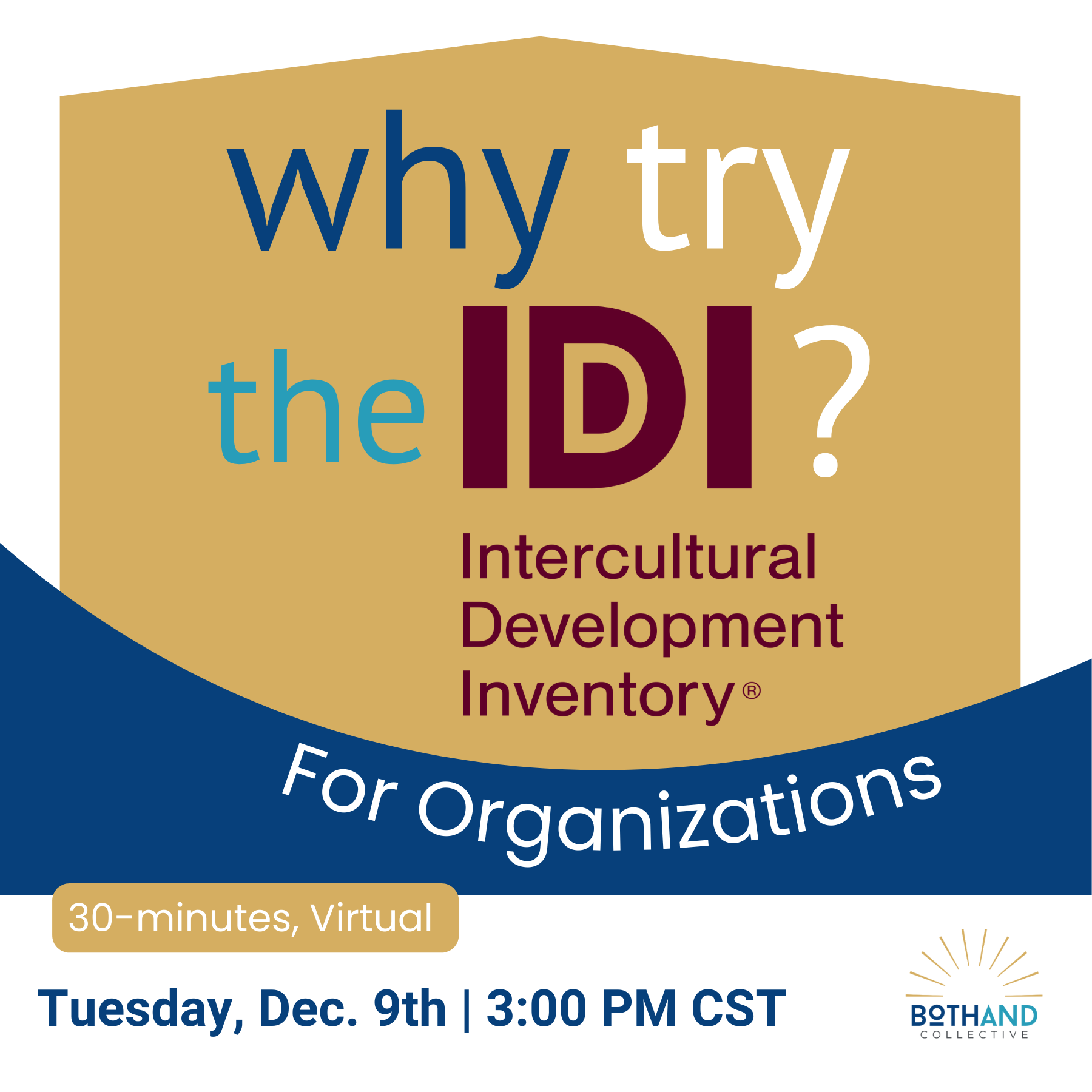 Why Try the IDI? For Organizations