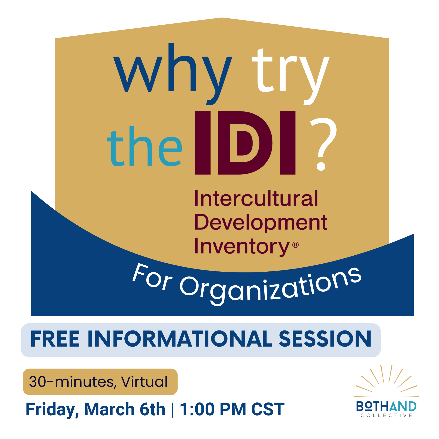 Why Try the IDI? For Organizations 