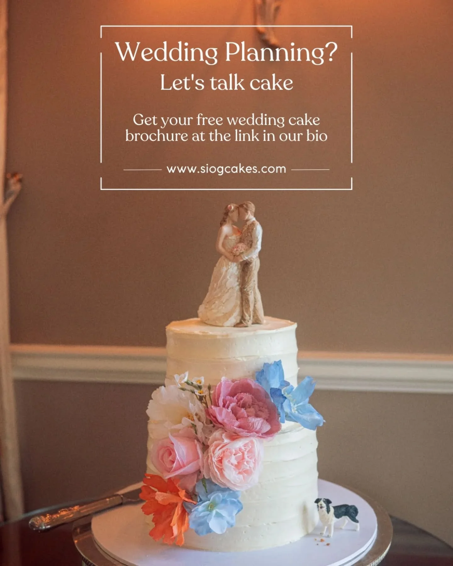 💍 let's talk weddings 💍

So much goes into wedding planning, it's easy to overlook the benefits of putting the effort into planning and designing your wedding cake! 

S&iacute;og Cakes is here to make it all much easier. Head to the link in our bio