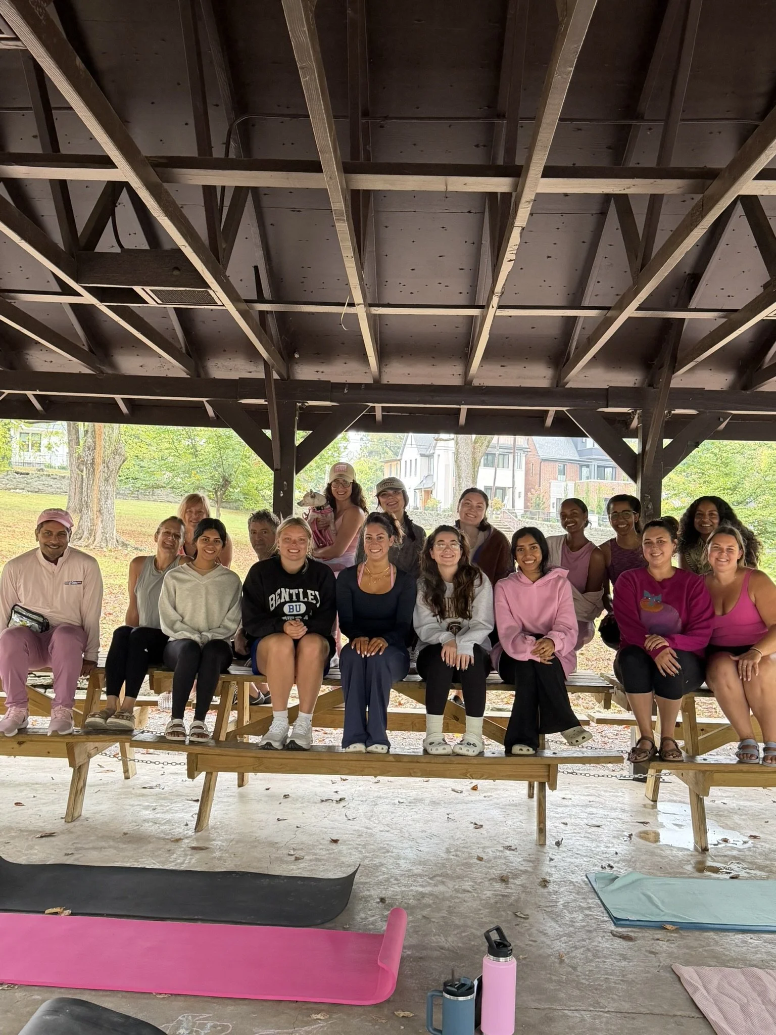 Fahrenheit Pink in the Park 2026.JPEG