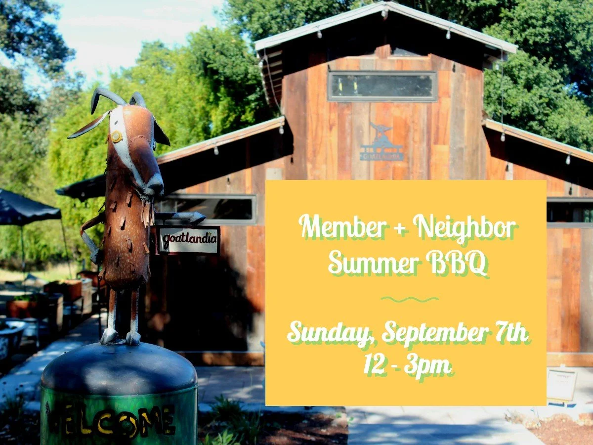 Members & Neighbors BBQ