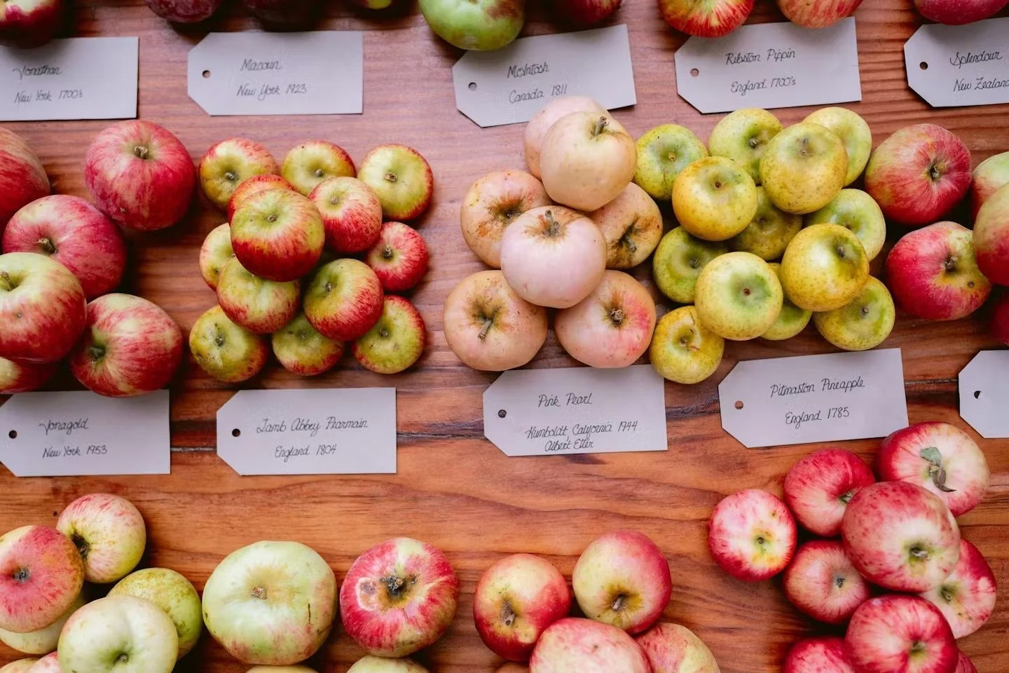 Goatlandia at Gold Ridge Farms Heirloom Apple Festival
