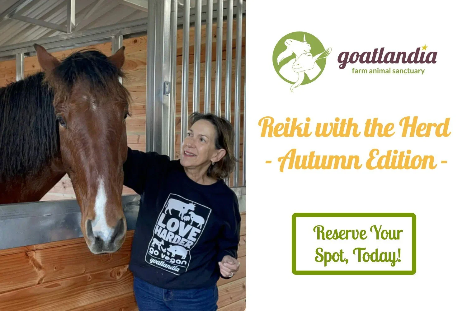 Reiki II with the Herd: Autumn Edition
