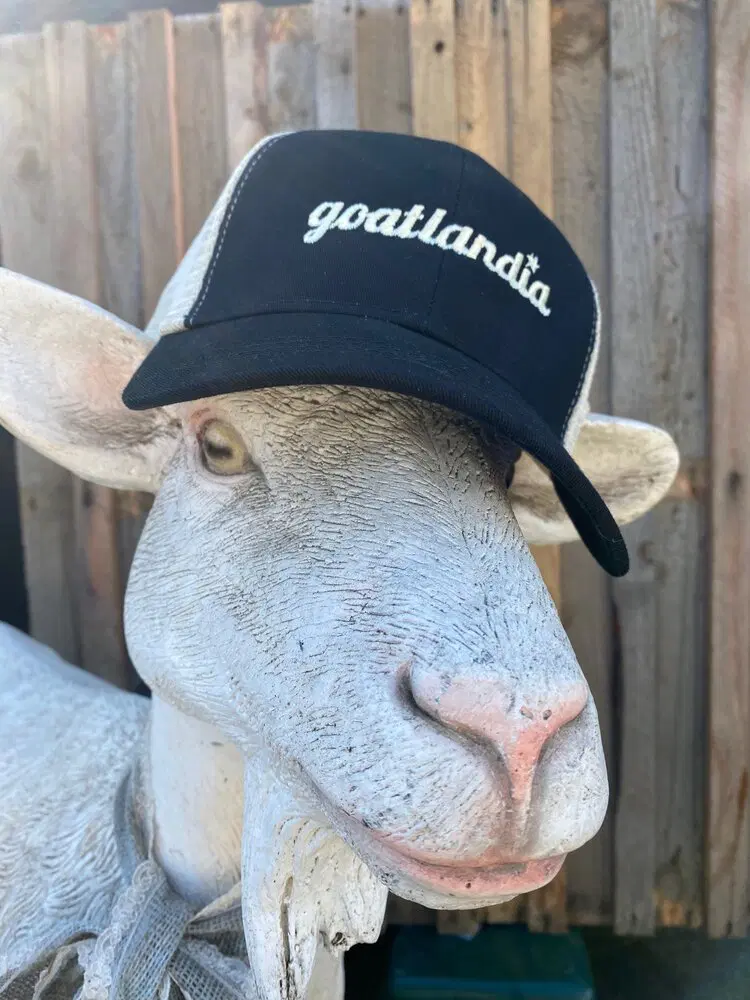 Trucker Hat 2.png