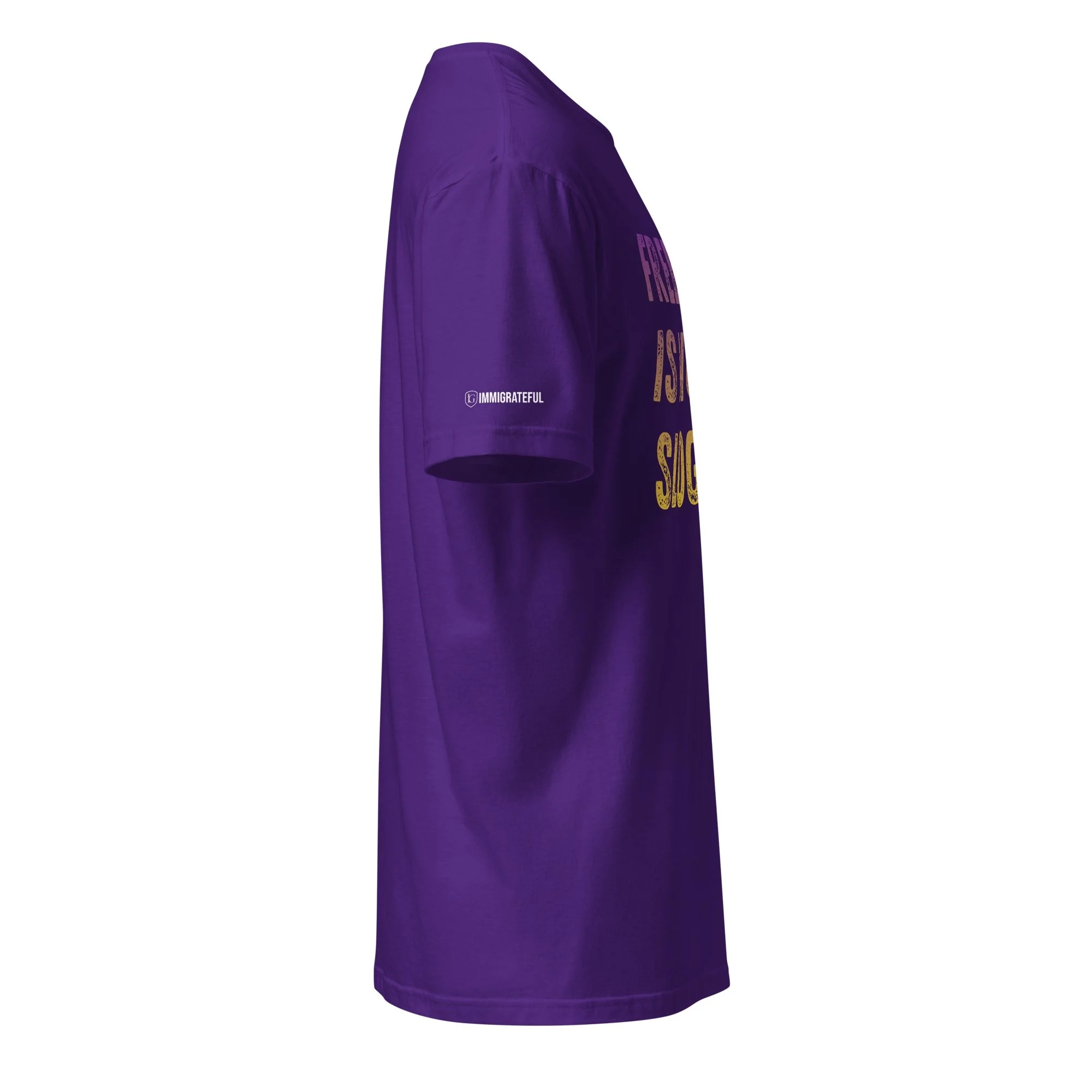 unisex-basic-softstyle-t-shirt-purple-right-6a010d90c0b0e.jpg