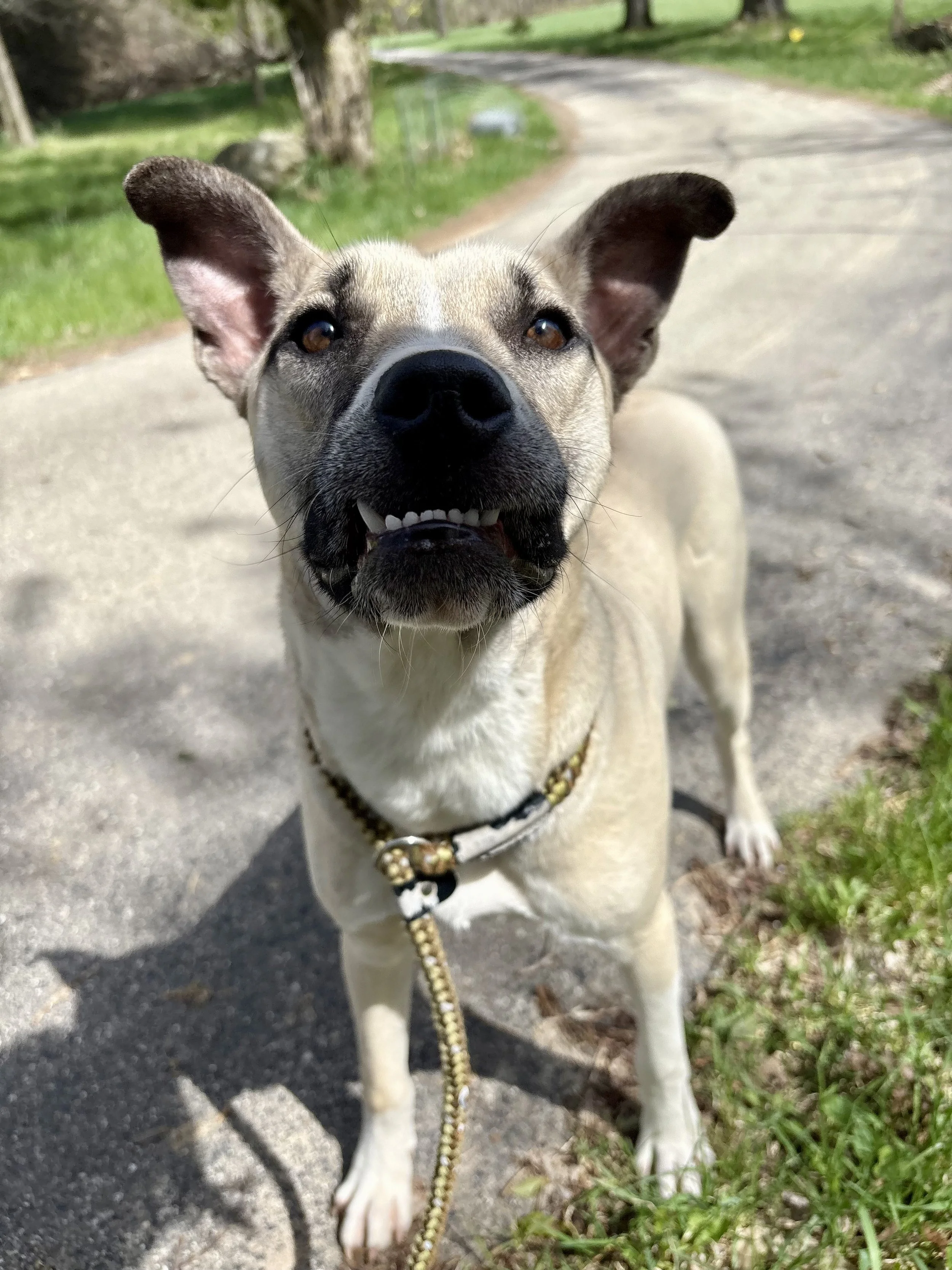 Meet Olaf