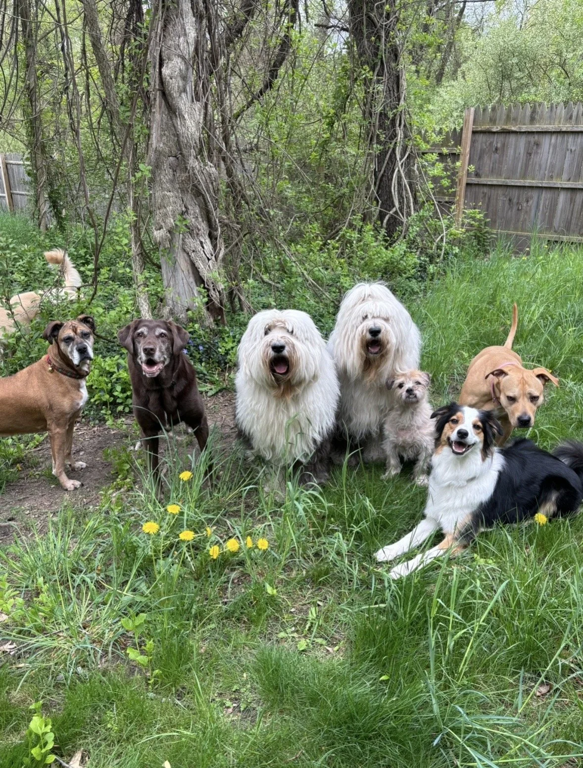 Photo Mar 05 2026, 8 25 17 PM.jpg