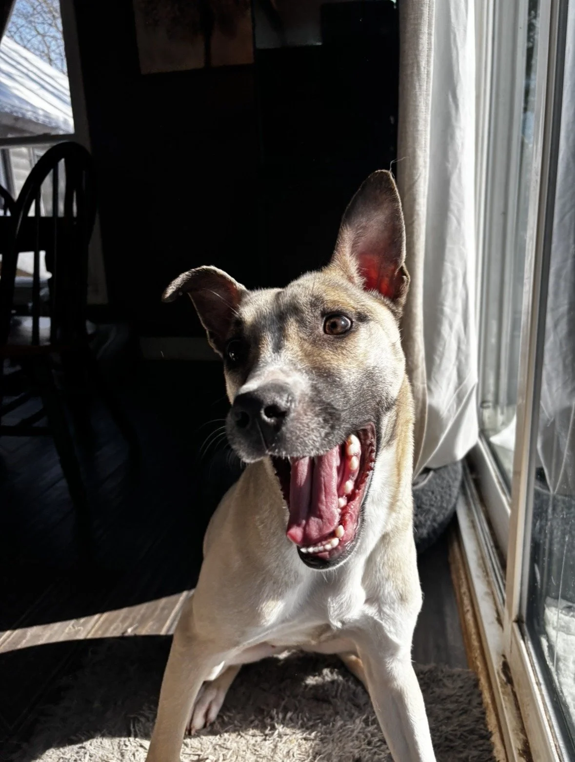 Photo Mar 05 2026, 8 32 52 PM.jpg