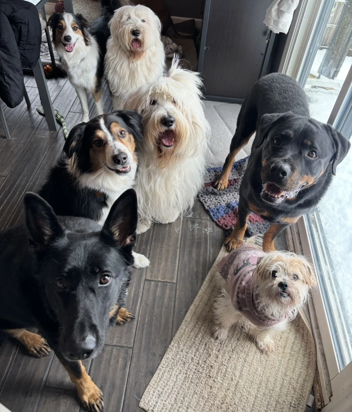 Photo Mar 05 2026, 8 01 23 PM.jpg