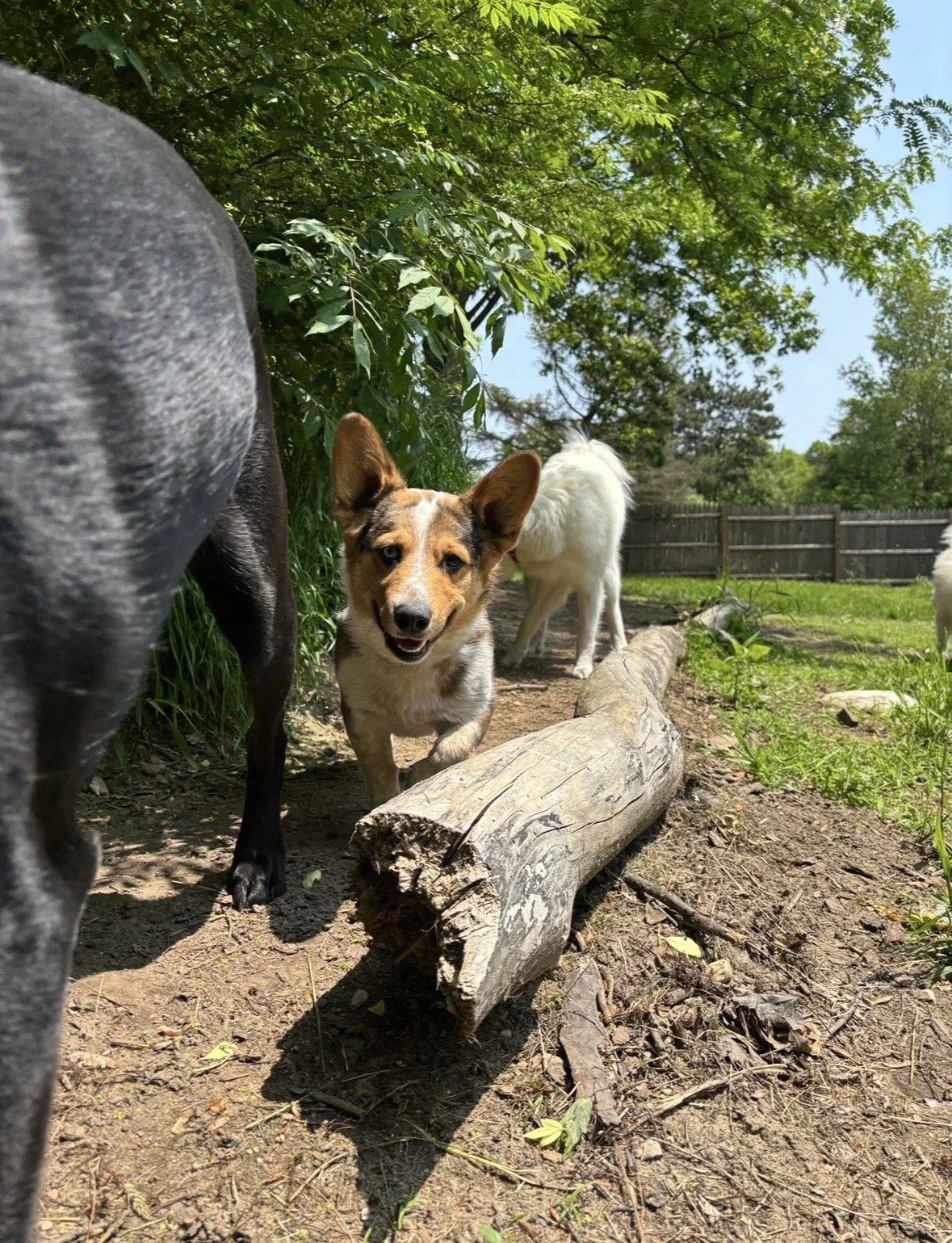 Photo Mar 05 2026, 8 28 05 PM.jpg