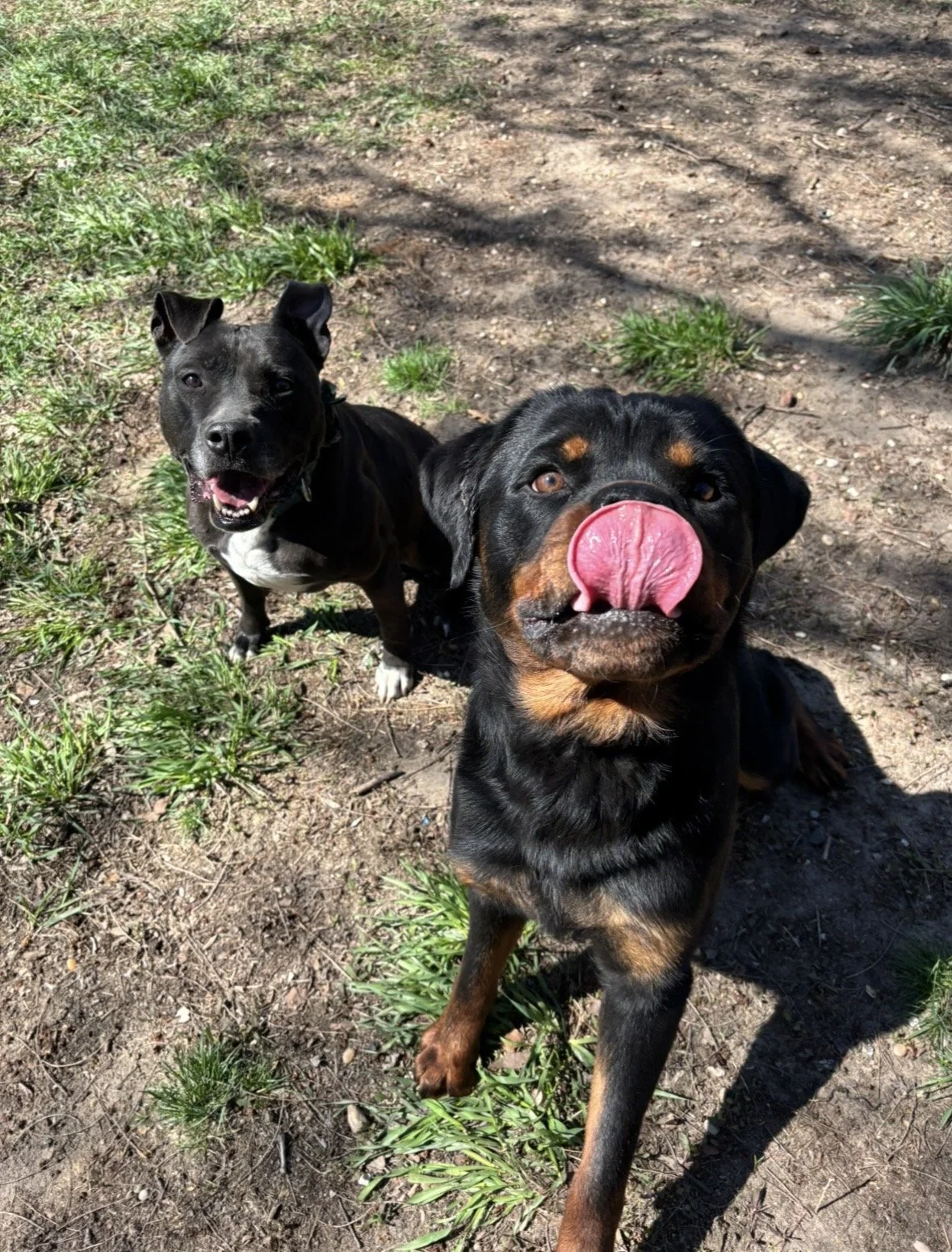 Photo Mar 05 2026, 8 12 38 PM.jpg