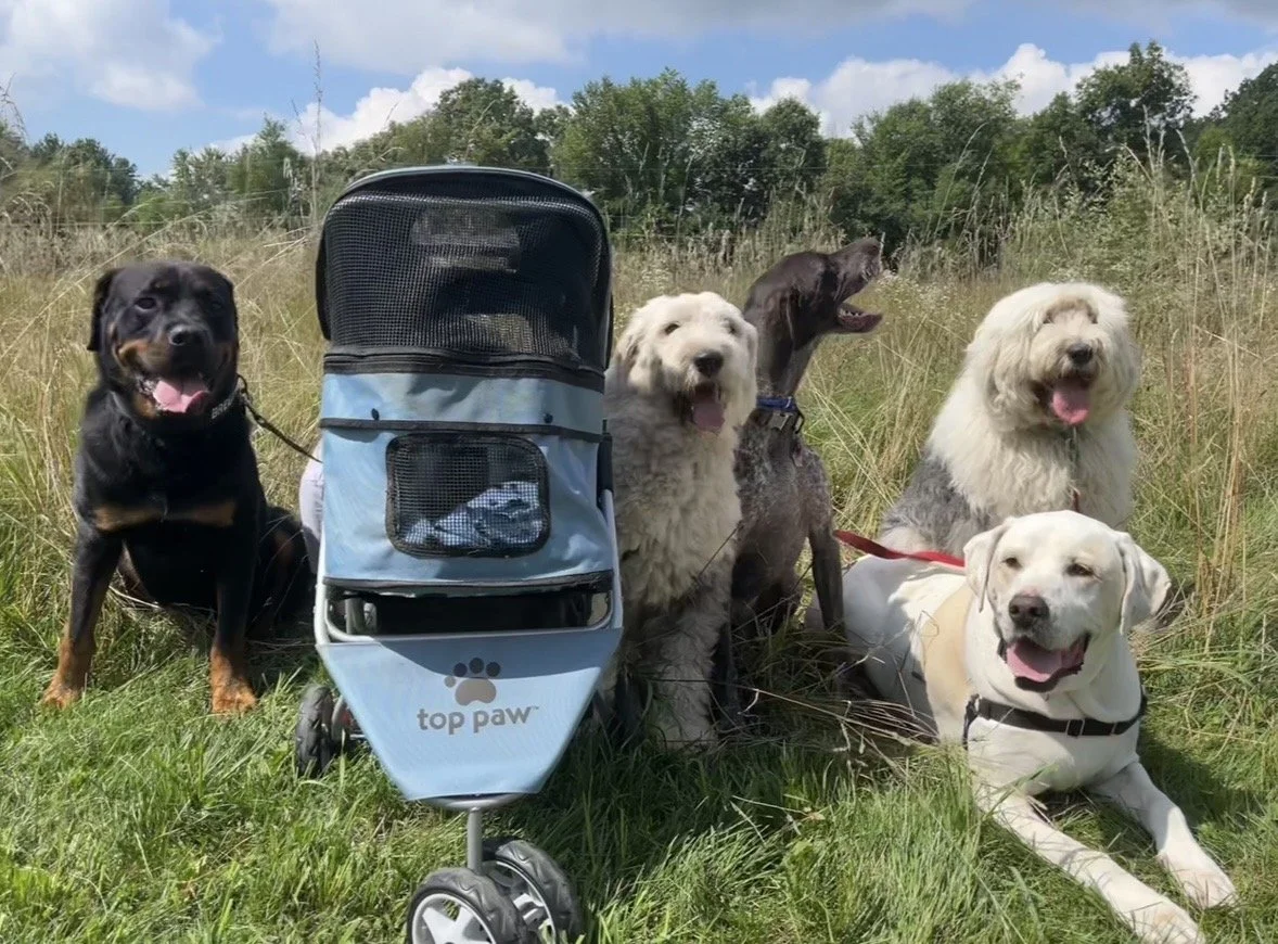 Photo Mar 05 2026, 7 52 54 PM.jpg