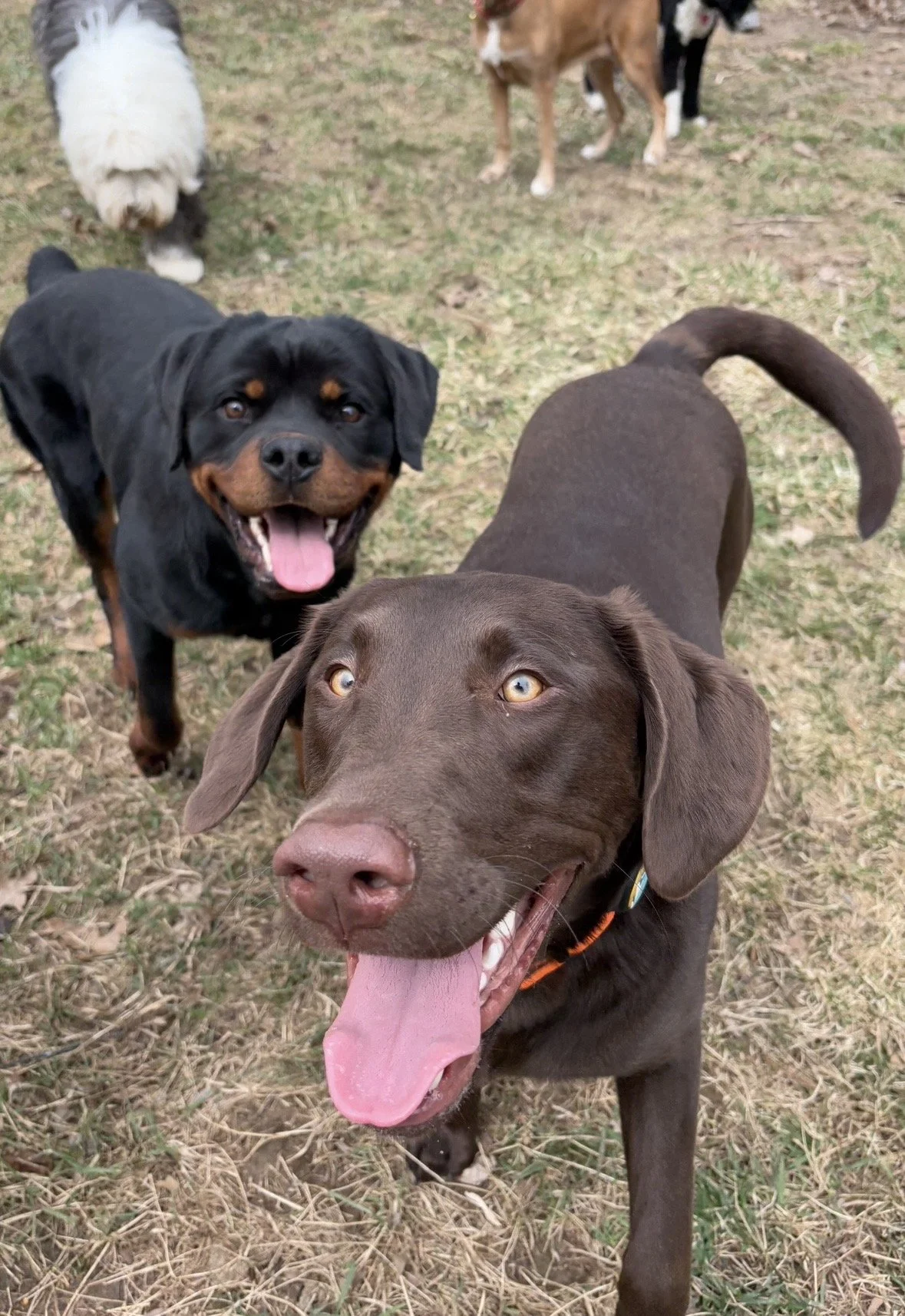 Photo Mar 05 2026, 8 07 01 PM.jpg