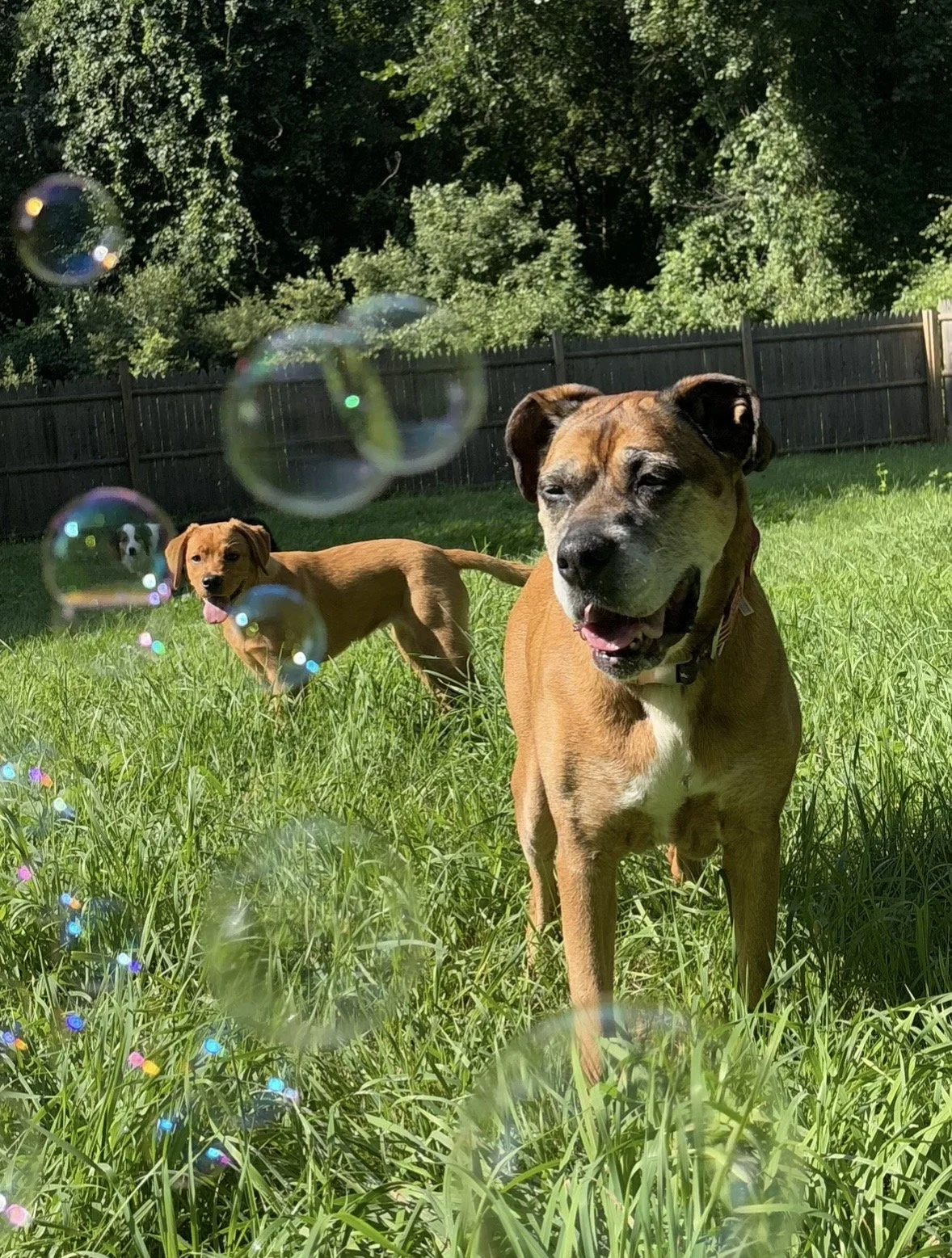 Photo Mar 05 2026, 8 29 20 PM.jpg