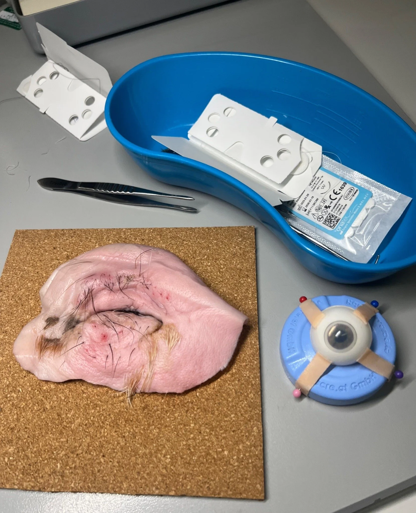 Introduction to Ophthalmic Surgery Course: A Reflective Overview&nbsp;&nbsp;