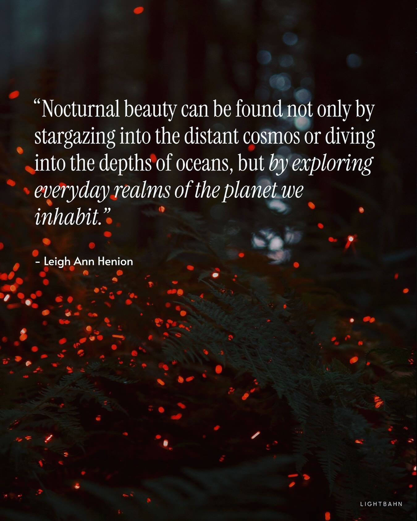 ❌ Fight the darkness
✅ Embrace the darkness

Book Recommendation: Night Magic by @leighannhenion 

#lightpollutionawareness #nightsky #astrotourism #darkness #nocturnalenvironment #stargazing