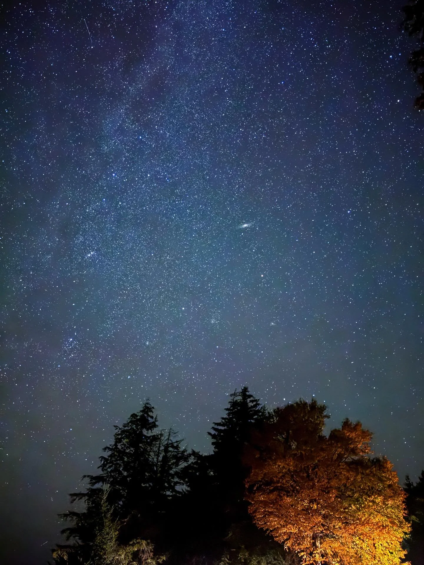The Milky Way and the Andromeda Galaxy in one frame! Captured in Ontario&rsquo;s Madawaska region, where the skies are so dark (Bortle 1) that even a phone camera can reveal galaxies millions of light-years away. 💫