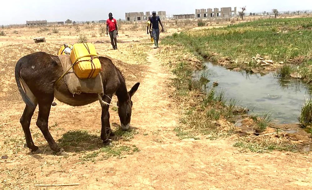 De venter på regn i  Nigeria – og frygter oversvømmelser!