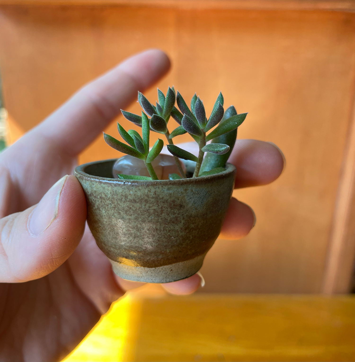 tiny succ