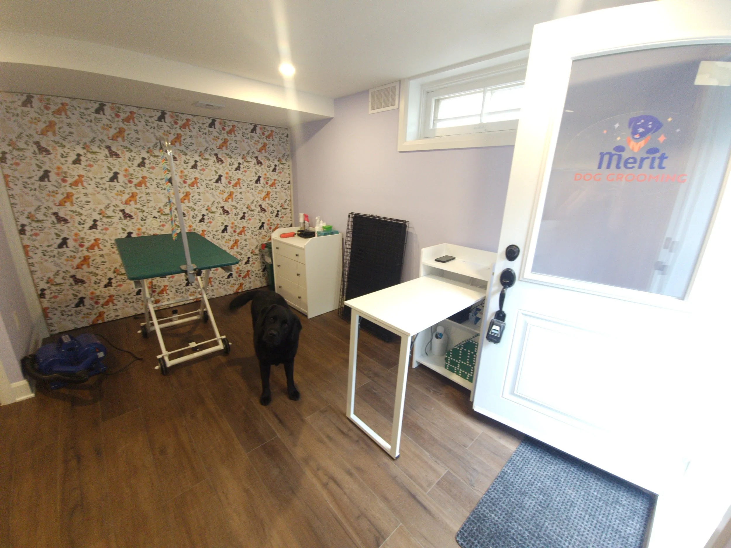 A room with a patterned wall featuring dogs and foliage, a small white cabinet with miscellaneous items, a black dog, a table with grooming supplies, and an open door with a dog grooming service sign.