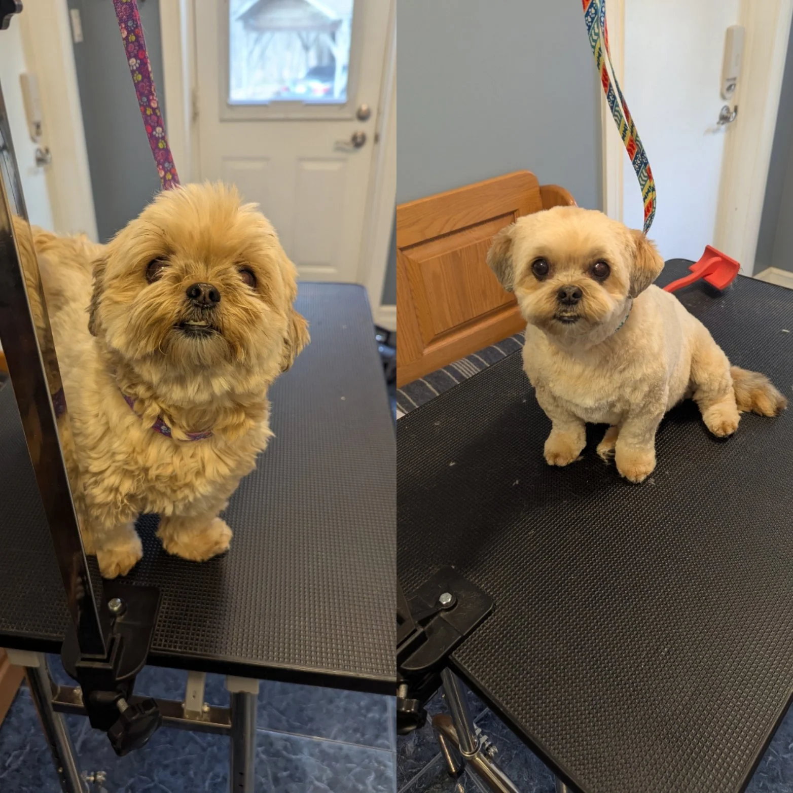 Before and after