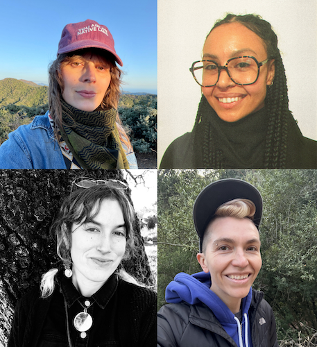 planting medicine gender-affirming traditional medicine, part 2