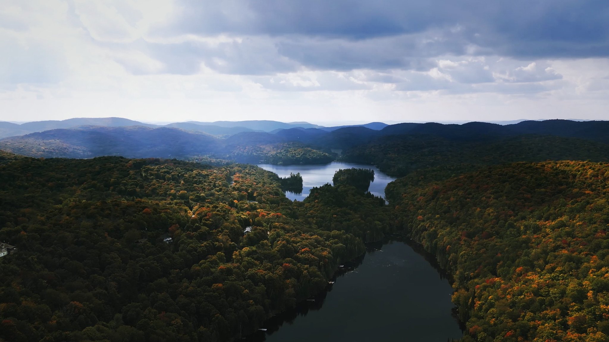 Still 2026-02-03 183538_1.37.1.jpg