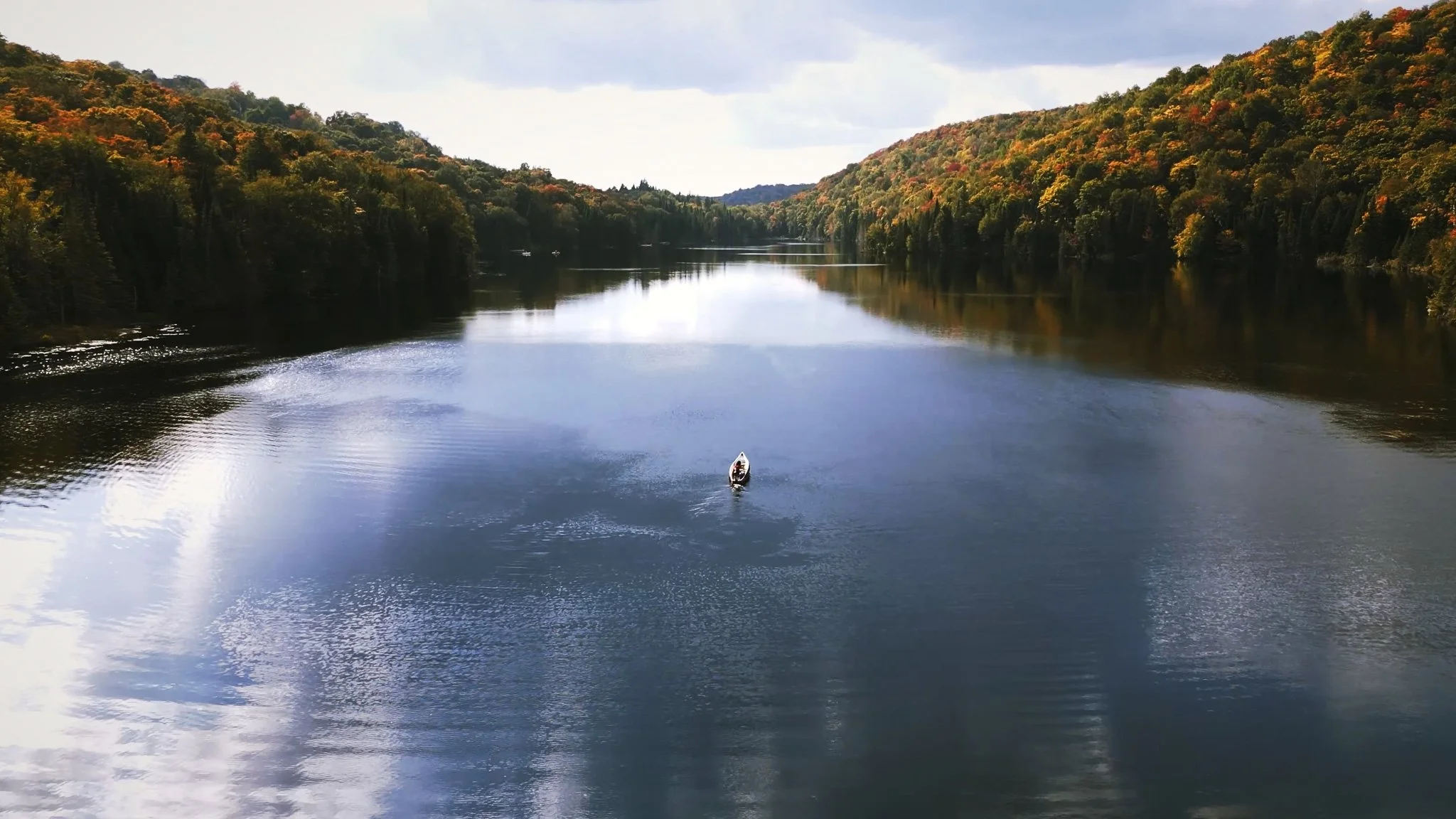 Still 2026-02-03 183538_1.47.1.jpg