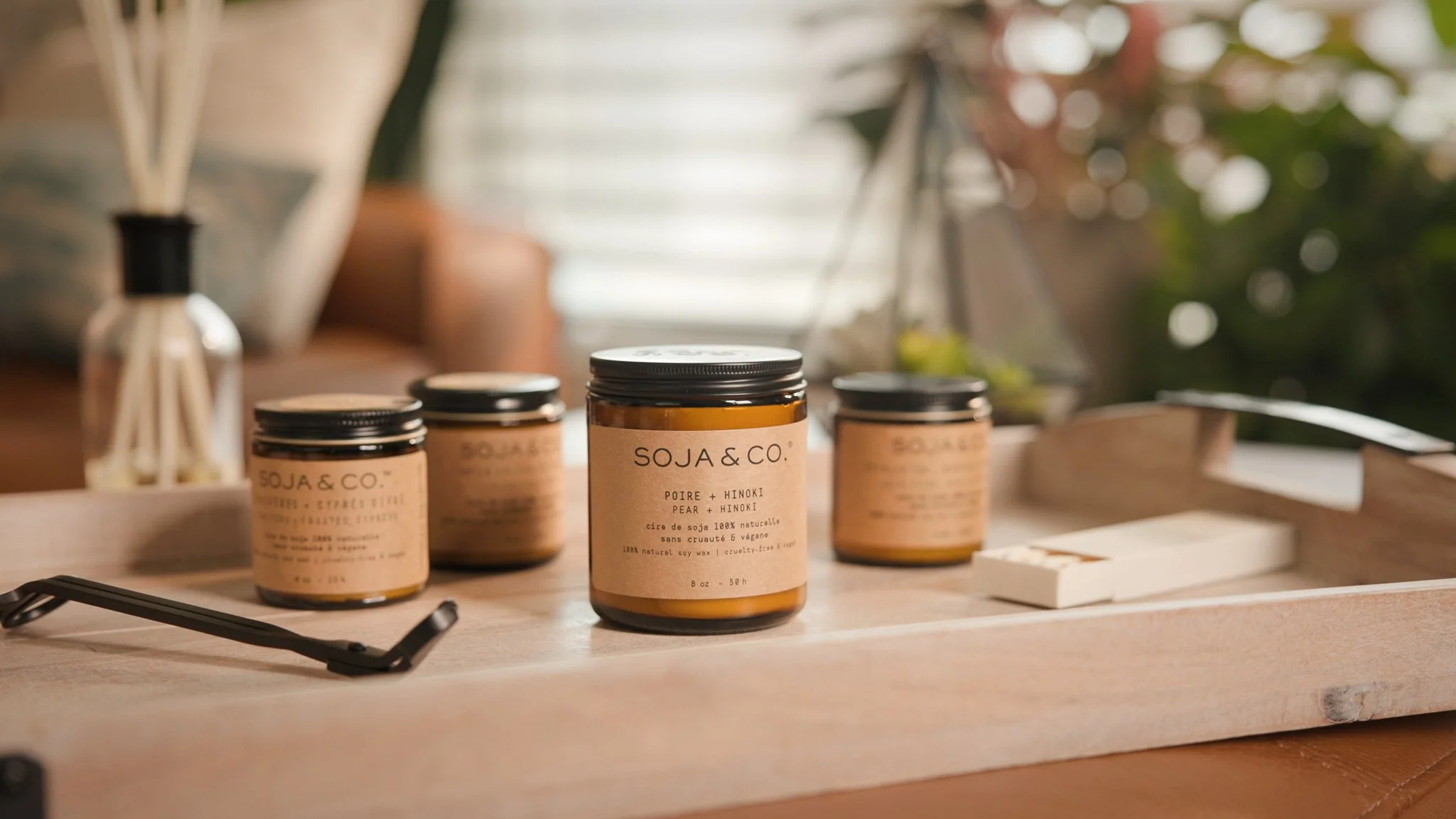 Still 2026-02-03 182356_4.8.1-2.jpg