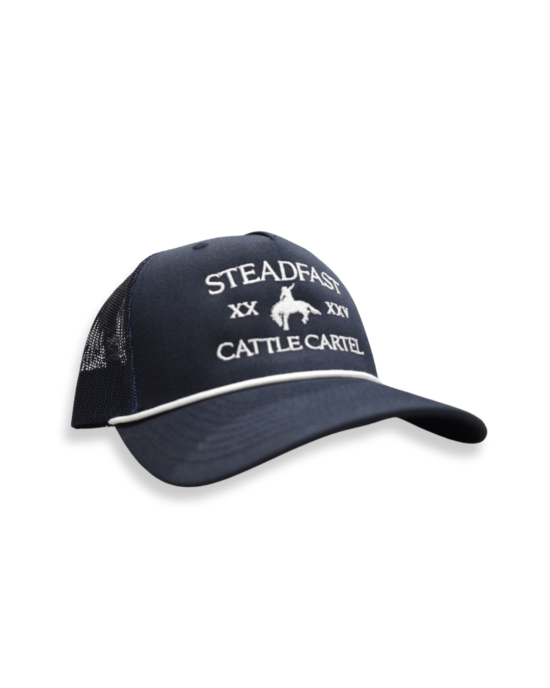 Hat 2.png