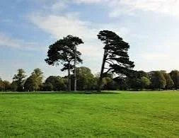 green park Clifton downs, bristol