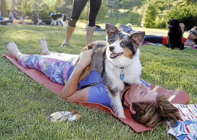 yoga enthusiasts in Bristol share smiles, and mindfulness with puppies during a unique class on Clifton downs