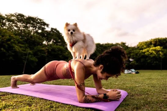 puppy participating in puppy yoga class in Clifton Bristol