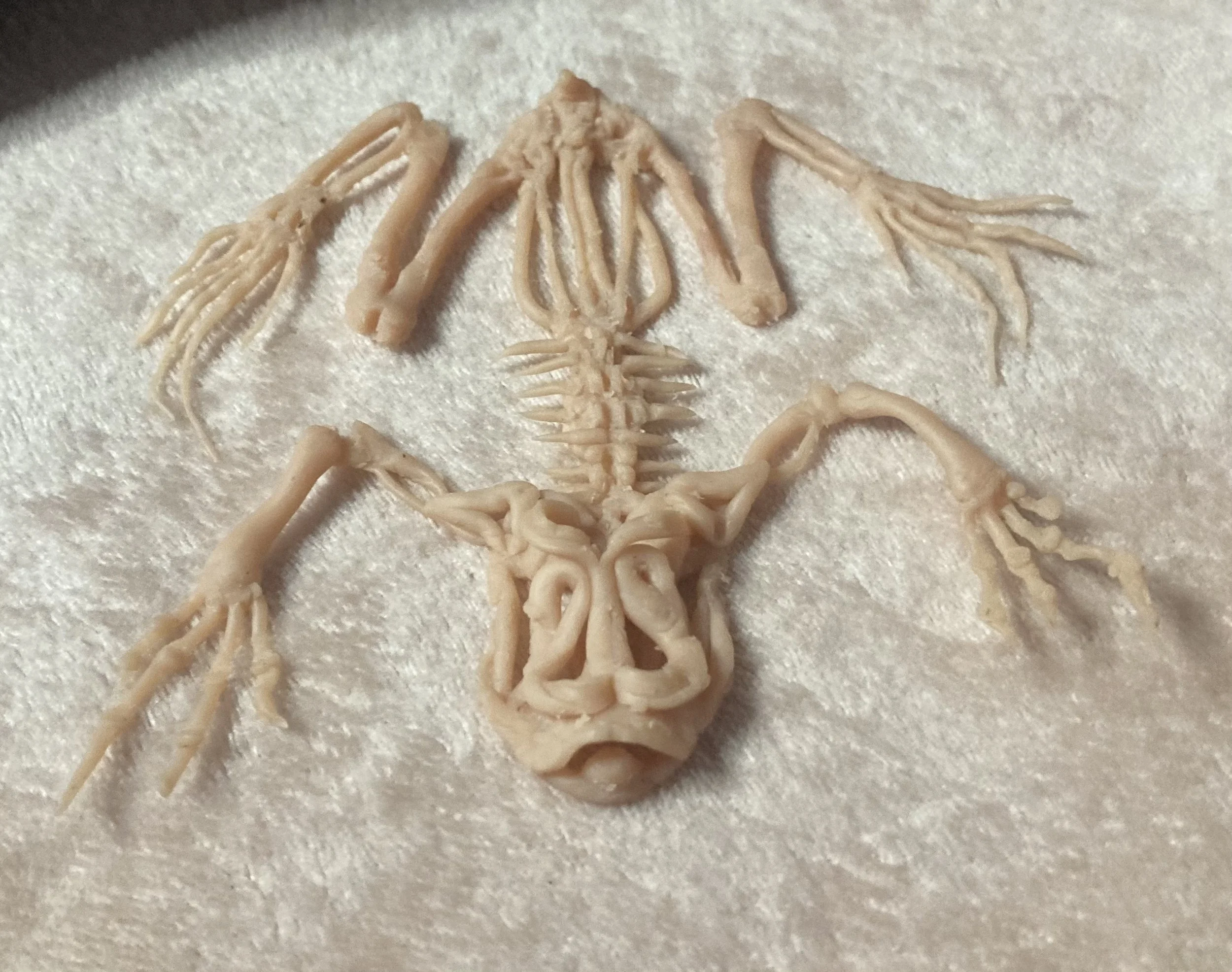 Spooky Halloween decoration resembling a dragon or mythical creature made of bones on a white surface.