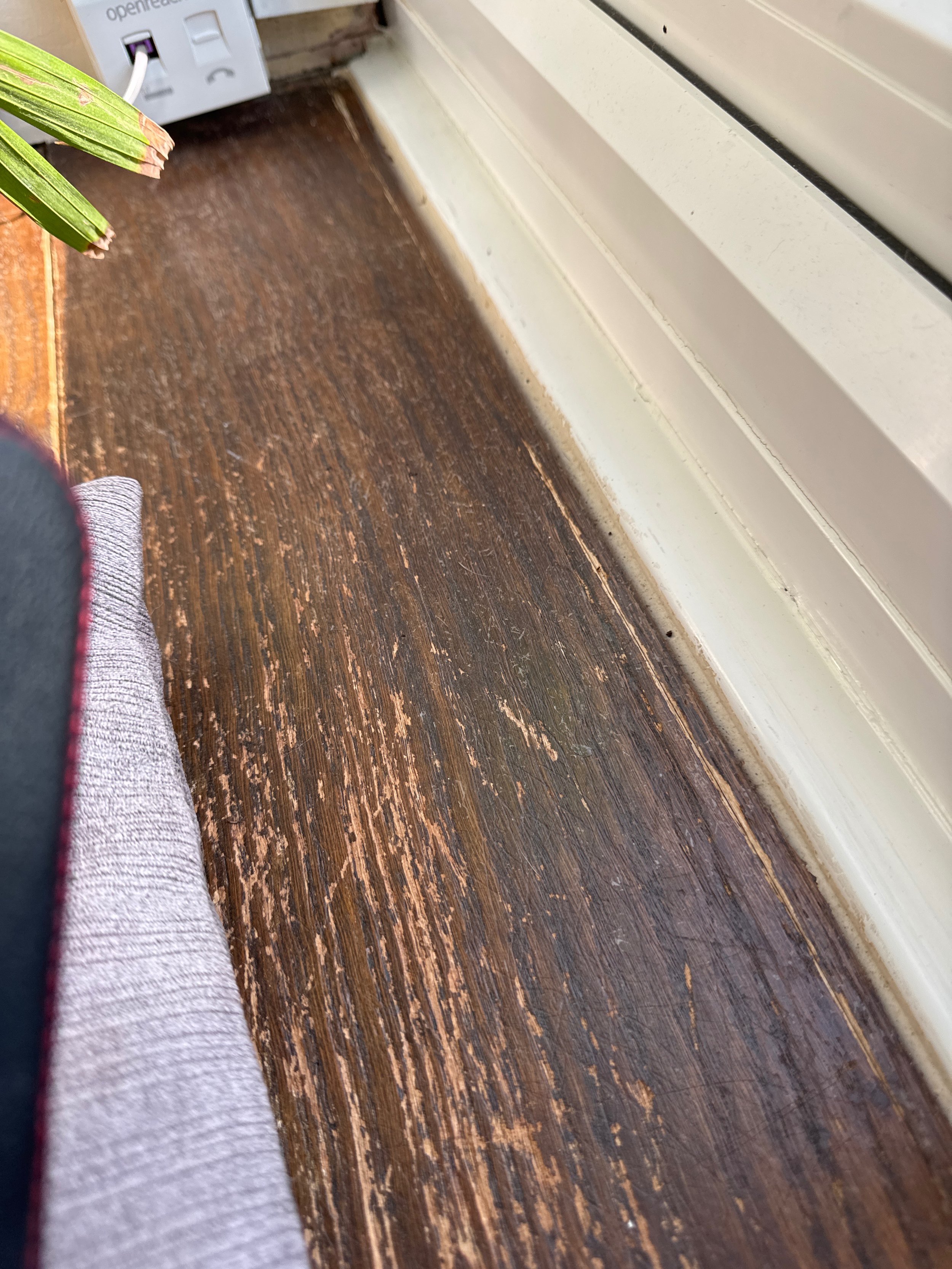 Oak window seat before refinishing