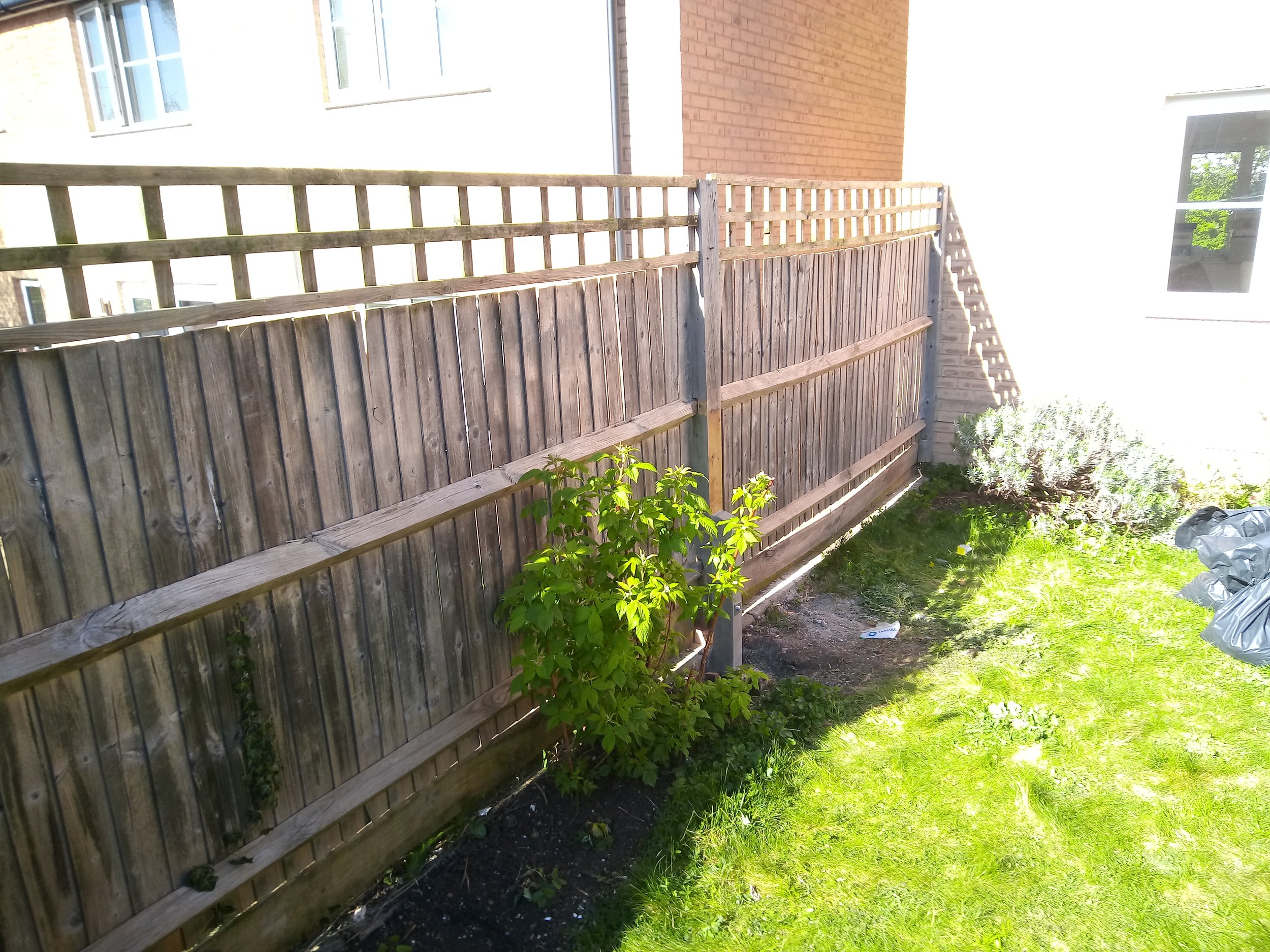 Finished fence