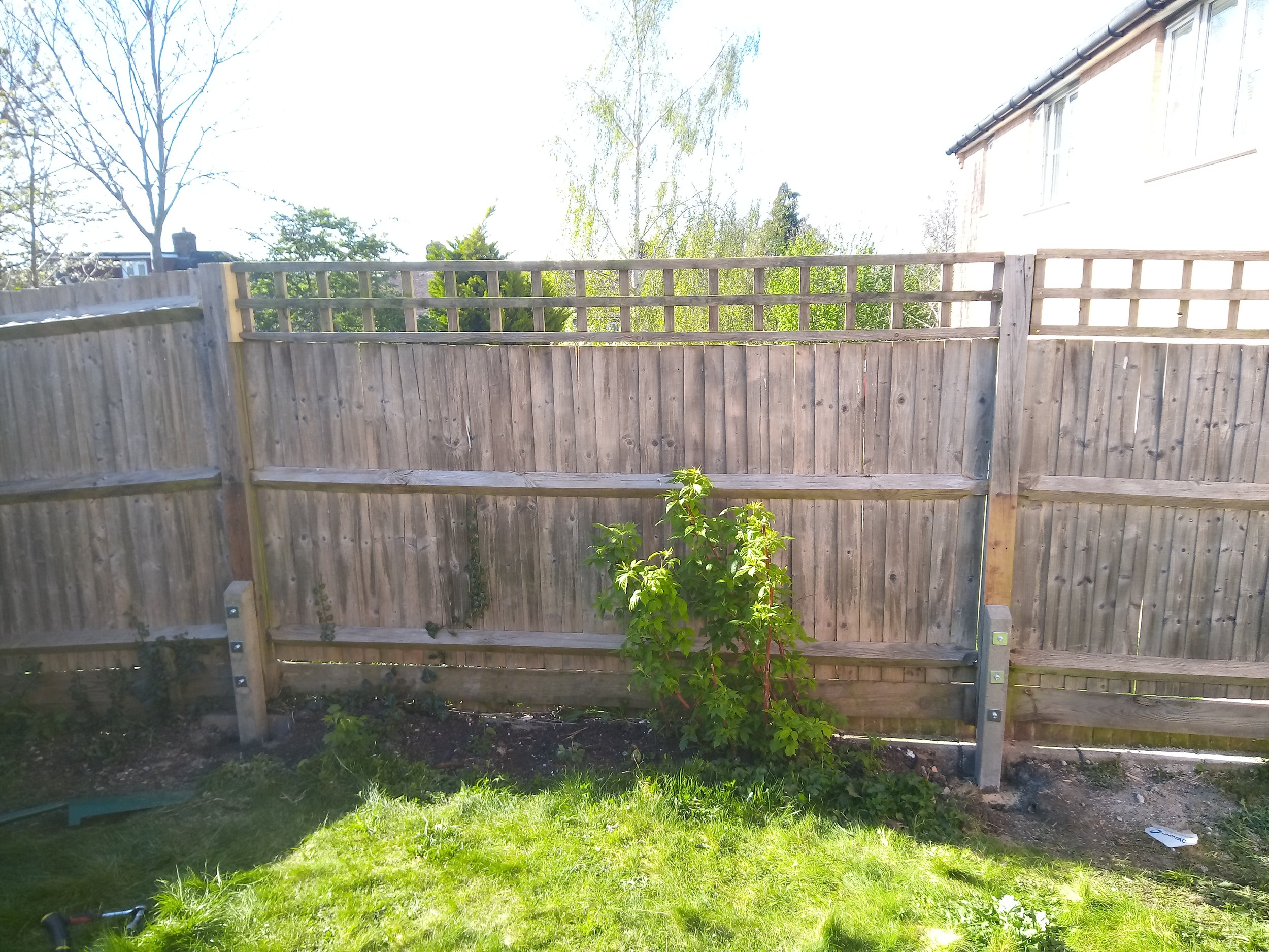 Finished fence