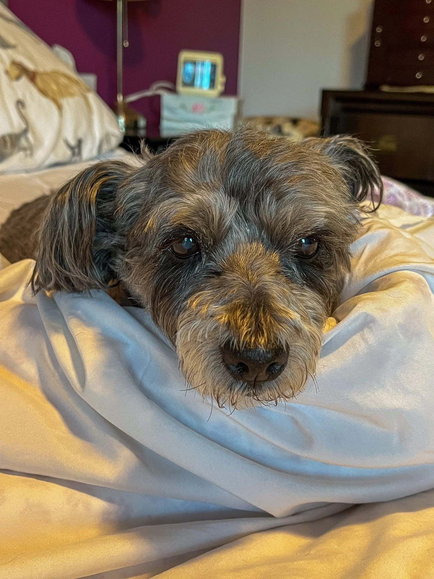 20221229-untitled shoot-20221229-iphone March 2023-IMG_1499.jpg