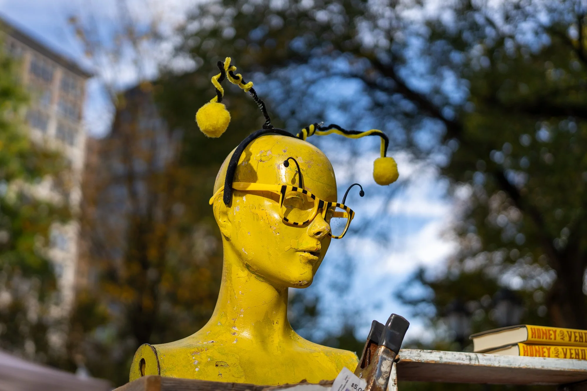 20251101-untitled shoot-20251101-NYC 11 1 25-DSC05058.jpg