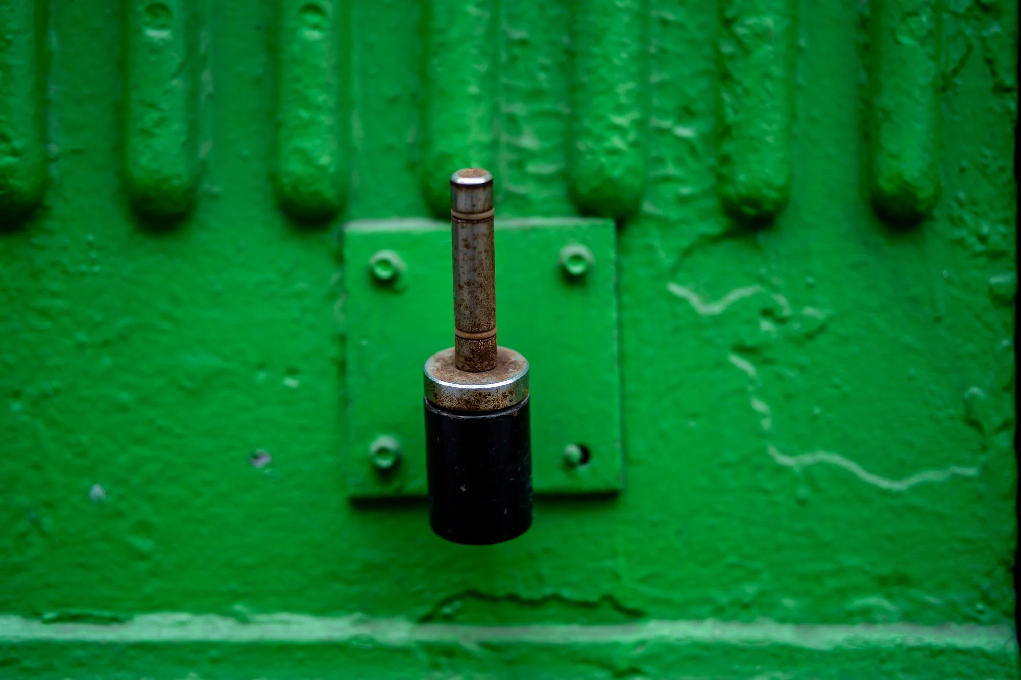 20251115-untitled shoot-20251115-NYC Nov 15-DSC02135.jpg