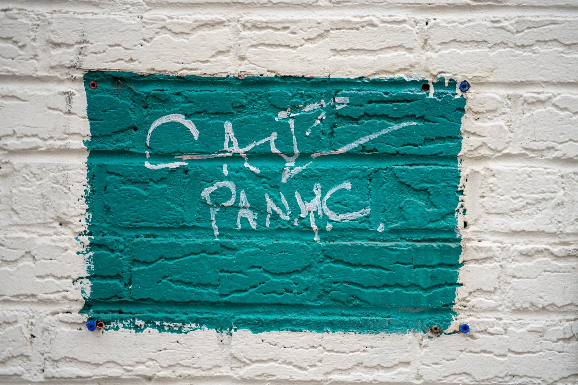 20251115-untitled shoot-20251115-NYC Nov 15-DSC02144.jpg