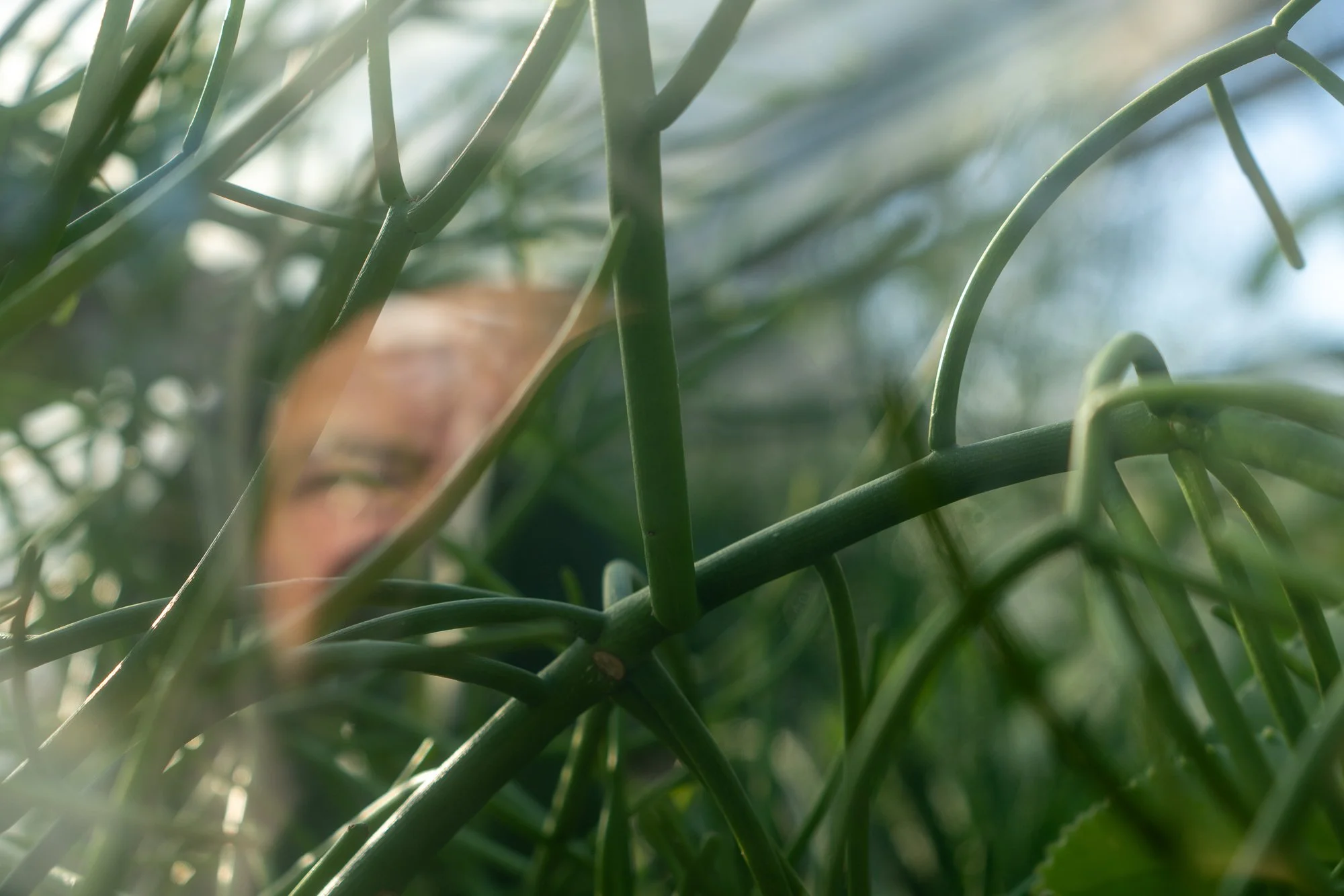 20250114-untitled shoot-20250114-Clark Gar Jan 14-DSC07931.jpg