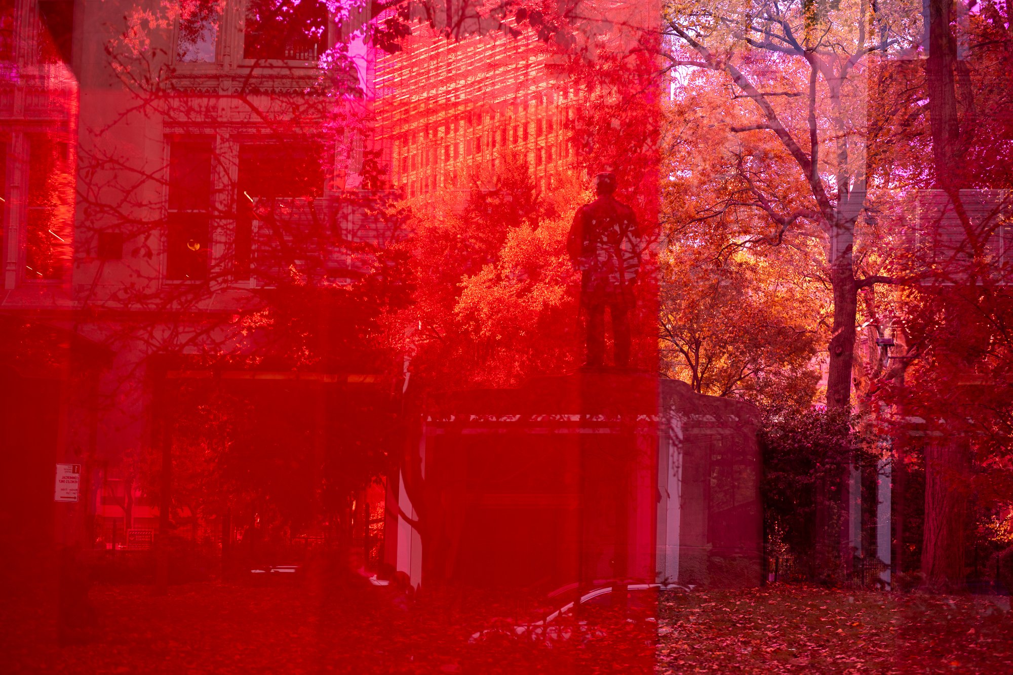 20251115-untitled shoot-20251115-NYC Nov 15-DSC02221.jpg