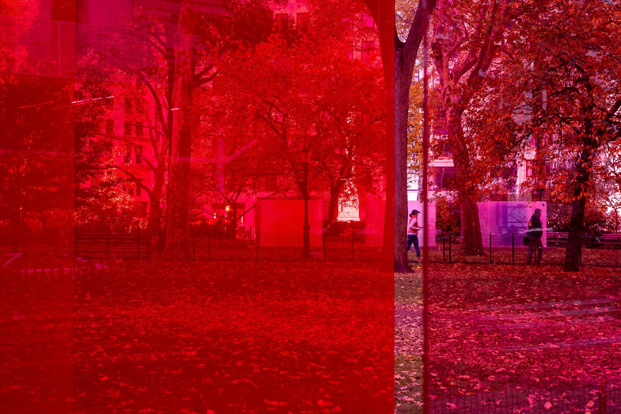 20251115-untitled shoot-20251115-NYC Nov 15-DSC02230.jpg