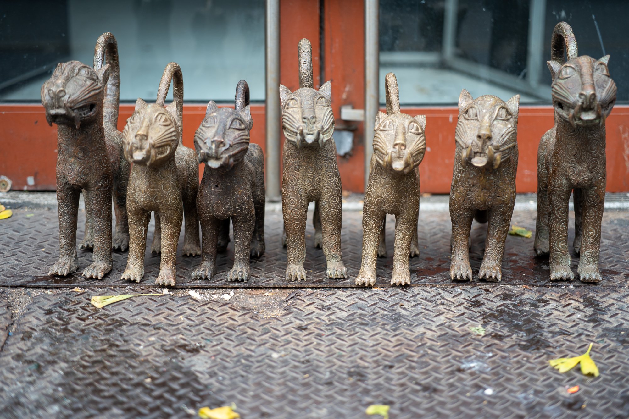 20251115-untitled shoot-20251115-NYC Nov 15-DSC02156.jpg