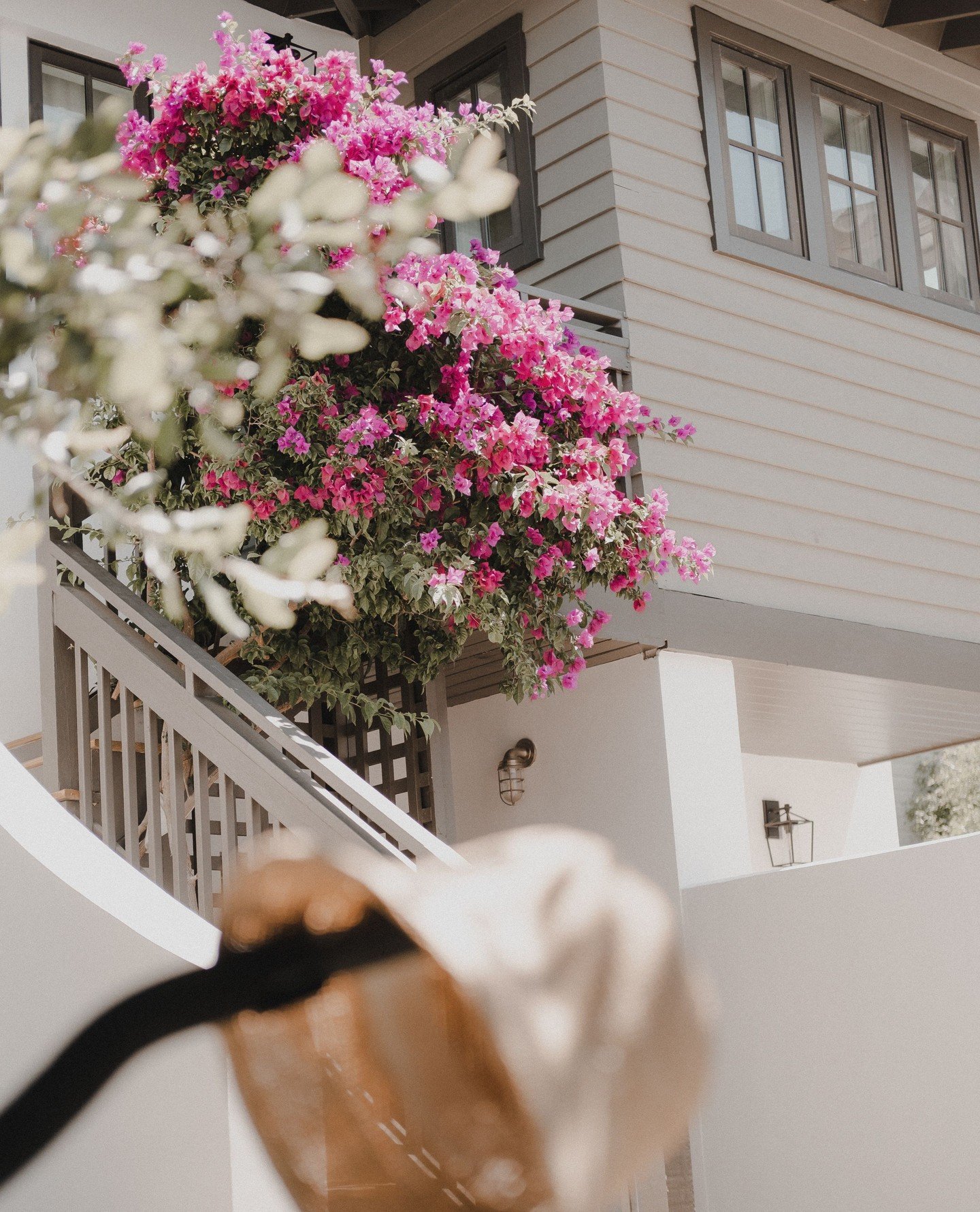 Tossed my hat on the handlebars, took the long way home, and let the flowers do the bragging.