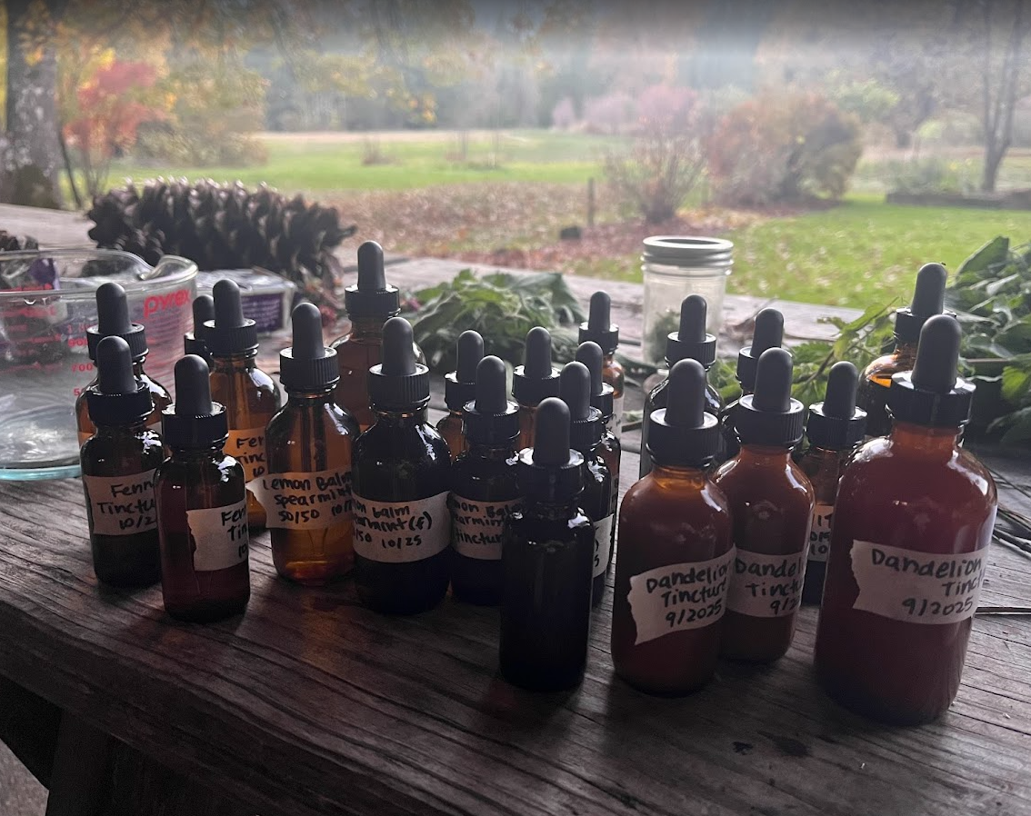 Screenshot 2026-03-04 123605.png